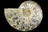 Agatized Ammonite Fossil (Half) - Madagascar #115331-1